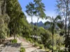 11 Ryder Street, Uki, NSW 2484-Image