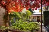 11 Saint Street, Castlemaine, Vic 3450-Image