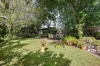 11 Sherbourne Street, Essendon, Vic 3040-Image