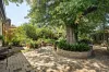 11 Sherbourne Street, Essendon, Vic 3040-Image