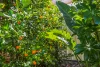 11 Sidney Street, Tea Gardens, NSW 2324-Image