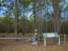 11 Speckled Circuit, Springfield Lakes, Qld 4300-Image