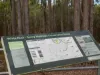 11 Speckled Circuit, Springfield Lakes, Qld 4300-Image