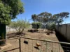11 Stone Street, Pingelly, WA 6308-Image