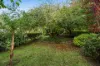 11 Stott Place, Stirling, SA 5152-Image