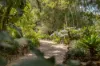 11 Sunray Drive, Highfields, Qld 4352-Image