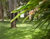 11 Sunrise Avenue, Budgewoi, NSW 2262-Image