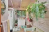 11 Sycamore Street, Mudjimba, Qld 4564-Image