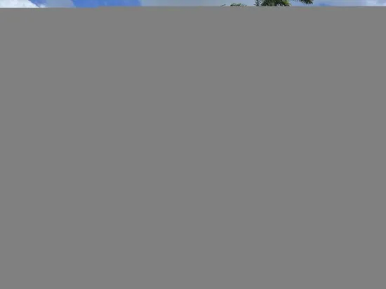 11 TEE STREET, Yorkeys Knob, Qld 4878