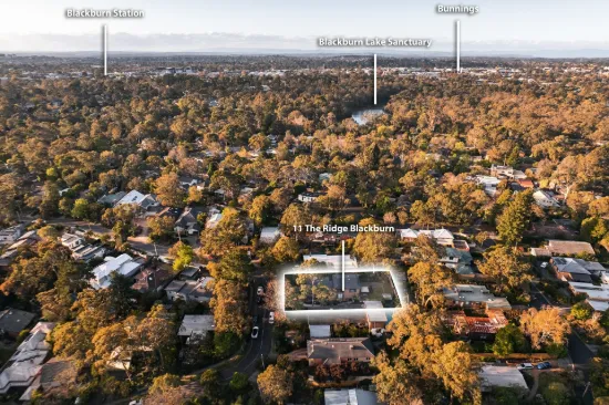 11 The Ridge, Blackburn, Vic 3130-Image