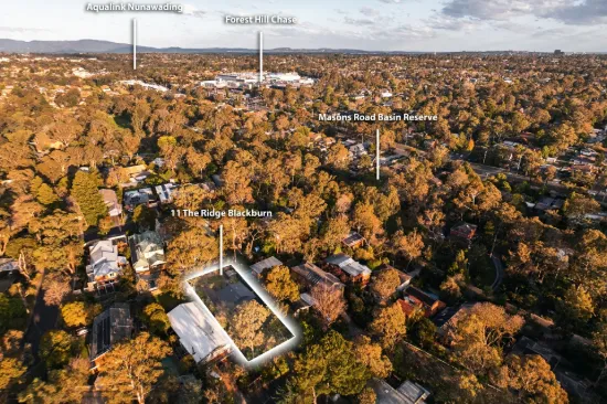 11 The Ridge, Blackburn, Vic 3130-Image