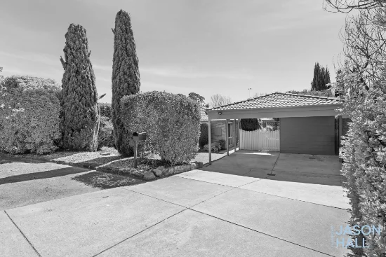 11 Tinderry Circuit, Palmerston, ACT 2913 - For Sale