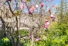 11 Trelm Place, Moss Vale, NSW 2577-Image