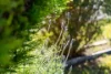 11 Trelm Place, Moss Vale, NSW 2577-Image