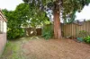 11 Ward Avenue, Canterbury, NSW 2193-Image