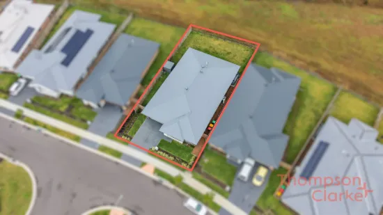 11 Wattawan Crescent, Anambah, NSW 2320-Image