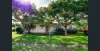 11 Weale Street, Pittsworth, Qld 4356