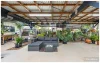 11 WEBSTER STREET, Gracemere, Qld 4702-Image