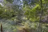11 Weir Street, Anglesea, Vic 3230-Image