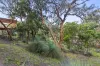 11 Weir Street, Anglesea, Vic 3230-Image