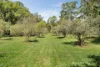 11 West Bridge Road, Glenburn, Vic 3717-Image