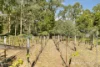 11 West Bridge Road, Glenburn, Vic 3717-Image