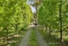 11 West Bridge Road, Glenburn, Vic 3717-Image