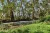 11 West Bridge Road, Glenburn, Vic 3717-Image