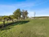 11 White Hills Road, White Hills, Tas 7258-Image