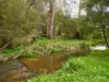 11 Whytes Place, Neerim South, Vic 3831-Image