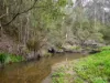 11 Whytes Place, Neerim South, Vic 3831-Image