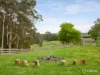 11 Whytes Place, Neerim South, Vic 3831-Image