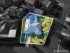 11 Wiggan Place, Cranebrook, NSW 2749-Image