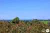 11 Willandra Place, Koonawarra, NSW 2530-Image