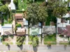 11 Willison Road, Elizabeth South, SA 5112-Image