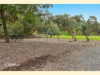 11 Windarra Avenue, Burnside, SA 5066-Image
