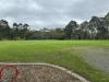 11 Windarra Avenue, Burnside, SA 5066-Image