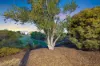 11 Woodswallow Way, Alkimos, WA 6038-Image