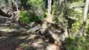 11 Woolmer Road, Highfields, Qld 4352-Image