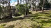 11 Woolmer Road, Highfields, Qld 4352-Image