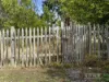 11 Wylie Crescent, West Moonah, Tas 7009-Image
