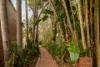 11 Wyndarra Street, Kenmore, Qld 4069-Image