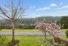 11 Yarra Street, Powelltown, Vic 3797-Image