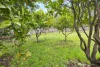11 Yarra Street, Powelltown, Vic 3797-Image