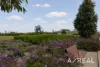 11 Yser Walk, Berwick, Vic 3806-Image