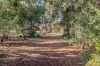 110 Bayview Road, Merricks Beach, Vic 3926-Image