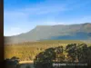 110 Boons Road, Blackwood Creek, Tas 7301-Image