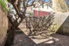 110 Bridge Road, Glebe NSW 2037-Image