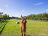 110 Clifton West Road, Wy Yung, Vic 3875-Image
