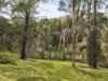 110 McGowans Road, Donvale, Vic 3111-Image
